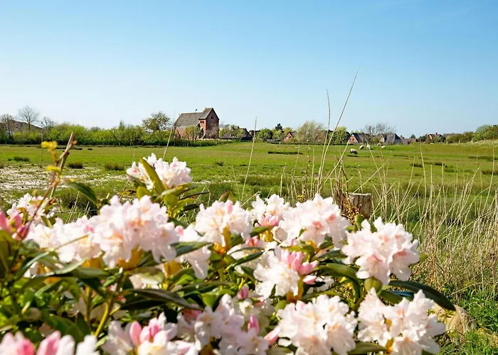 Lägenhet Klopfer List